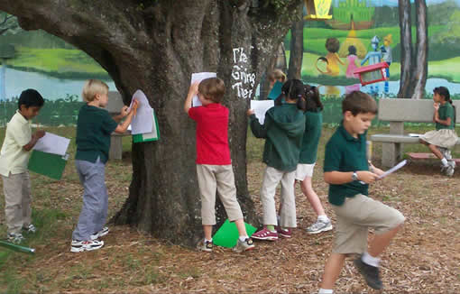 Our class doing our fall observations