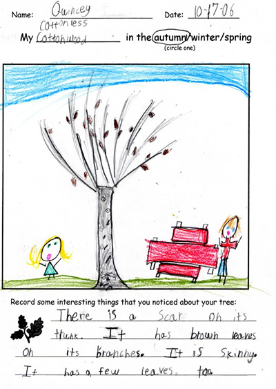 Quincy's Fall Tree