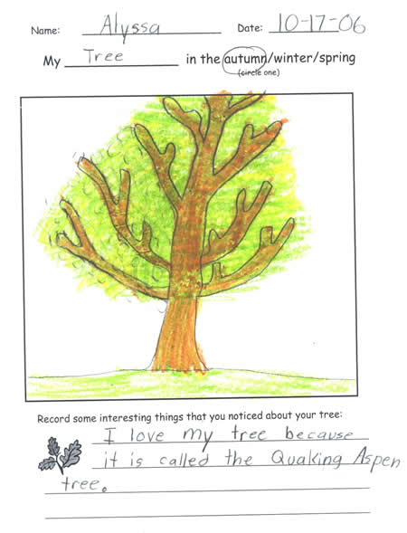 Alyssa's Autumn Tree