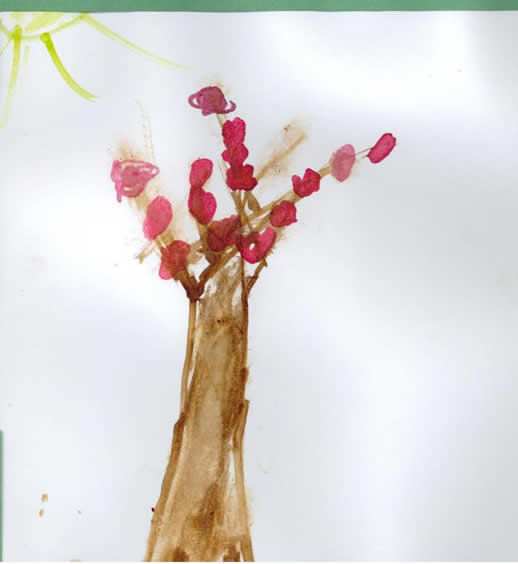 Water Color of Tree