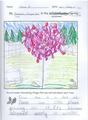 Spring Tree