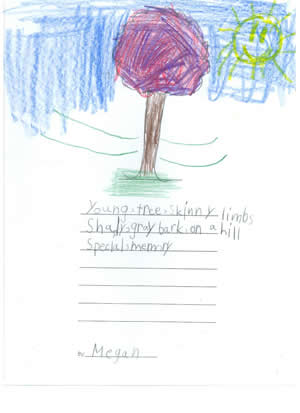 Summer Tree Drawing