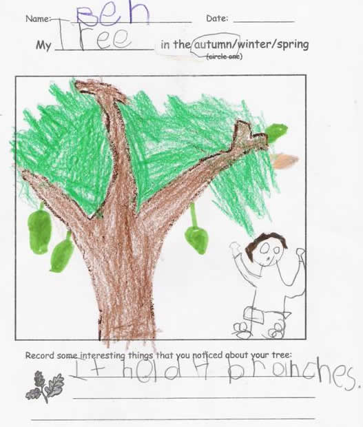 Fall Tree by Ben