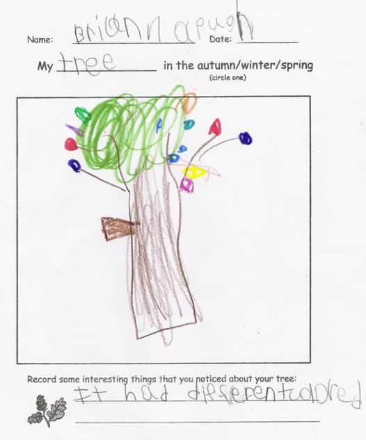Fall Tree by Brian