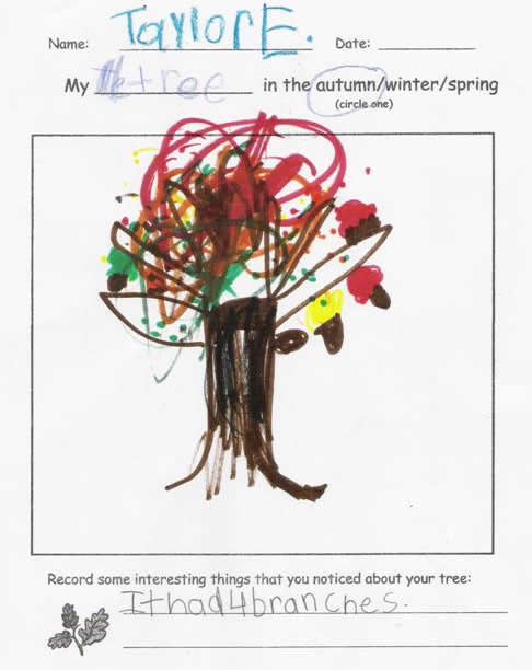 Fall Tree by Taylor