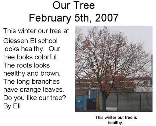 Eli's Winter Tree