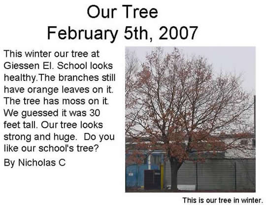 Nicholas - Our Winter Tree