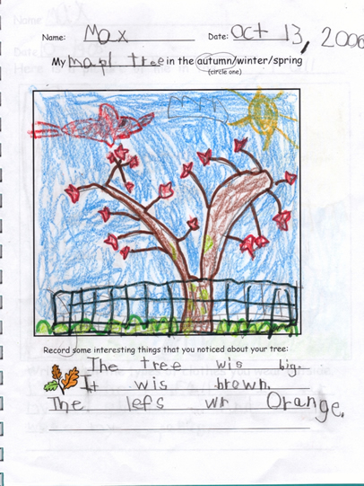 Fall Artwork by Max