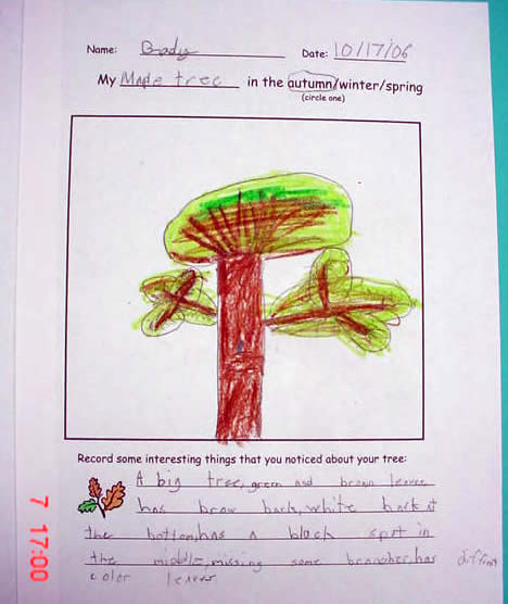 Student Artwork: Fall Tree