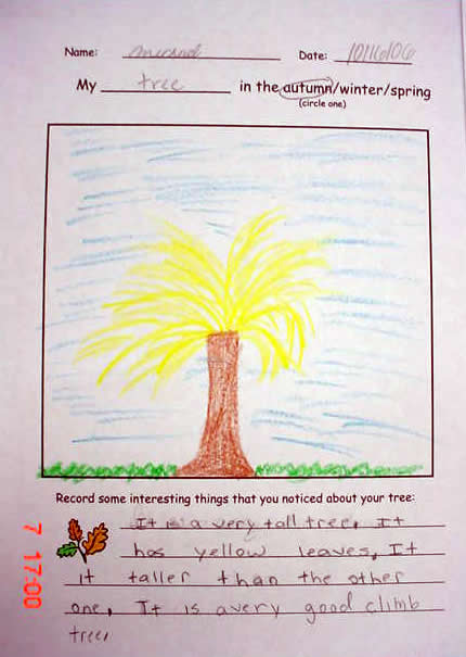 Student artwork: fall tree