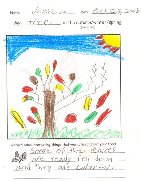 Jessica's Fall Tree