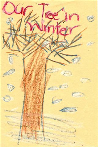 winter tree