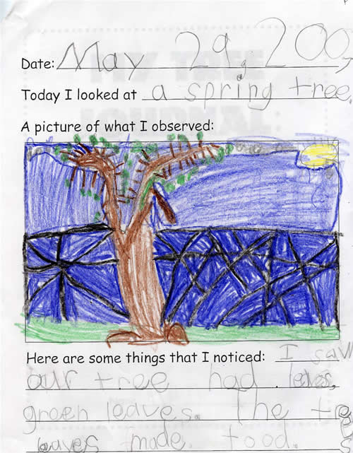 Ayana's Spring Tree