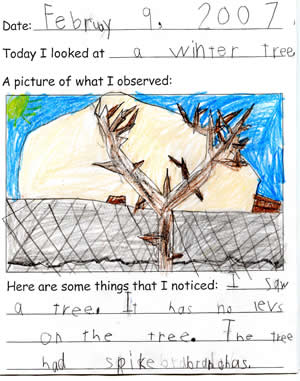 Bailey's Artwork