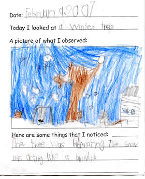 Jakob's Artwork