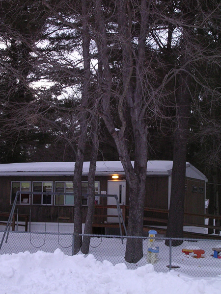 Winter Tree