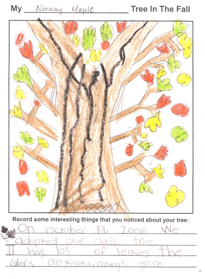 Corri's Fall Tree