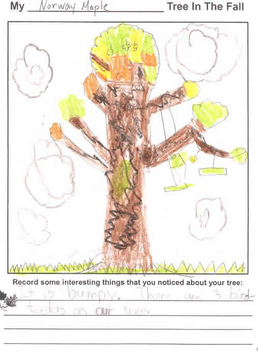Amanda's Fall Tree