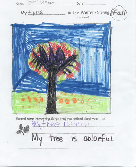 Fall Tree
