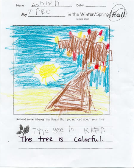 Fall Tree Drawing