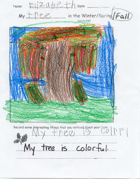 Fall Tree Drawing