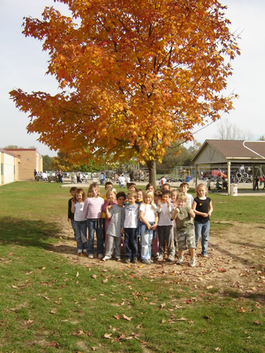 Mrs. Meier's Class and their fall tree