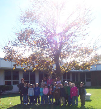 Fall tree