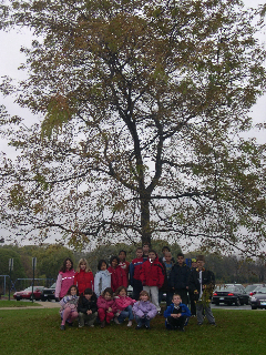 Our Class and our fall tree