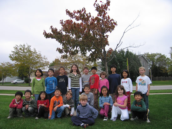 Our Class and Our Fall Tree
