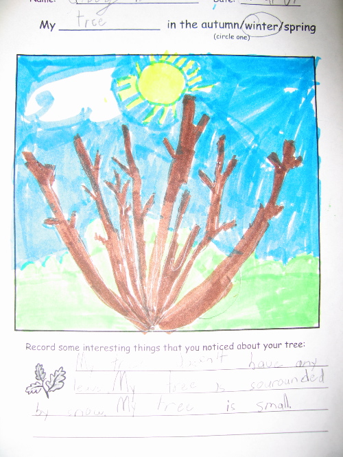 Ivey's Winter Tree