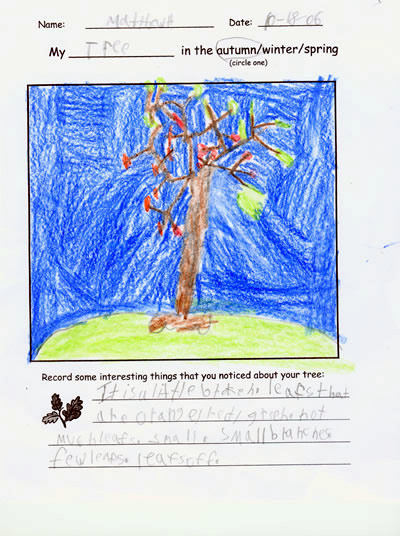 Matthew's Artwork