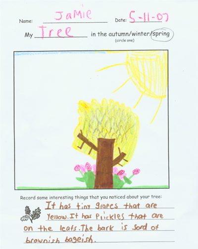Jamie's Spring Tree
