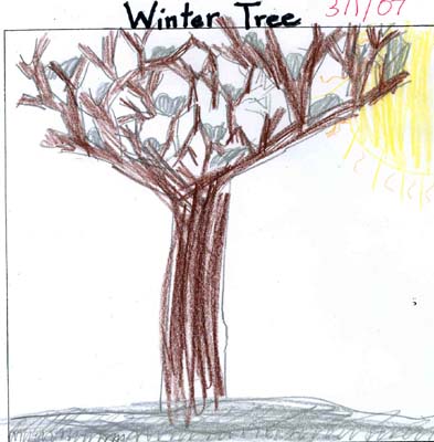 winter tree