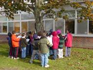 Our class and our fall tree