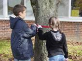 Measuring our fall tree's circumference
