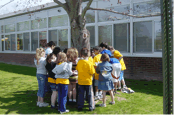 Spring Observations