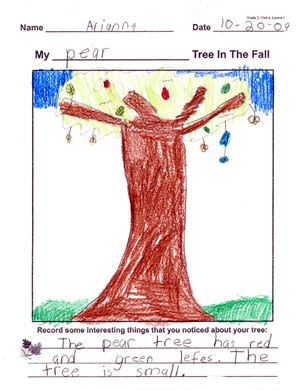 Arianna's Tree