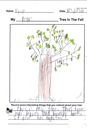 Kyle's Tree