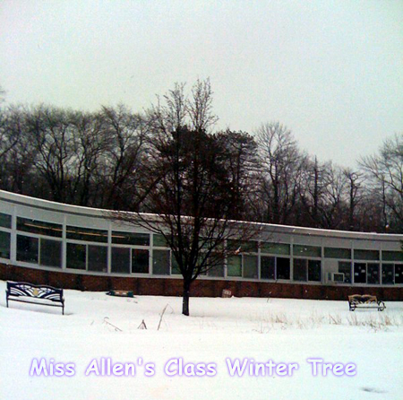 Winter Tree