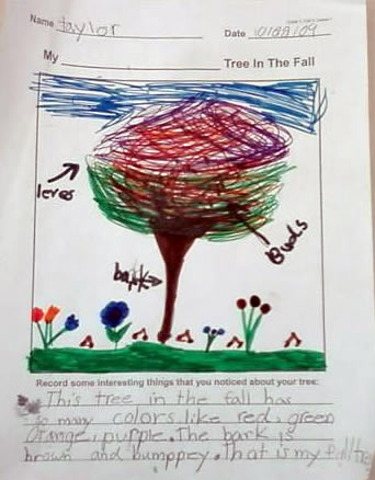 Taylor's Tree