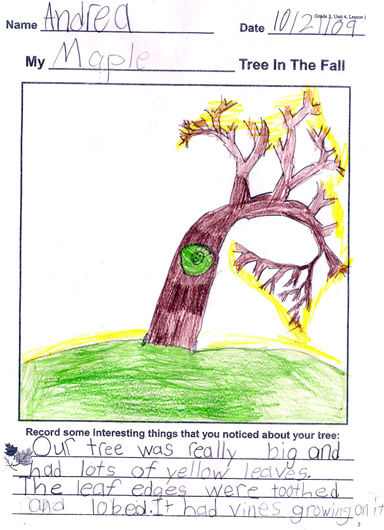 Andrea's Tree