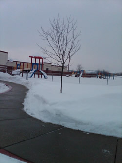 Winter Tree