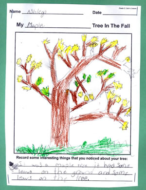 Ashley's Tree
