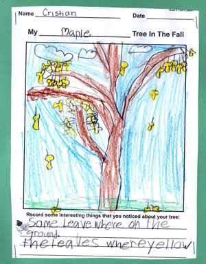 Christian's Tree