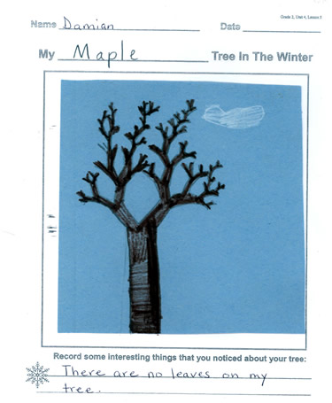 Damian's Tree