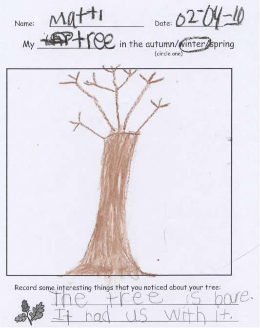 Matt's Tree