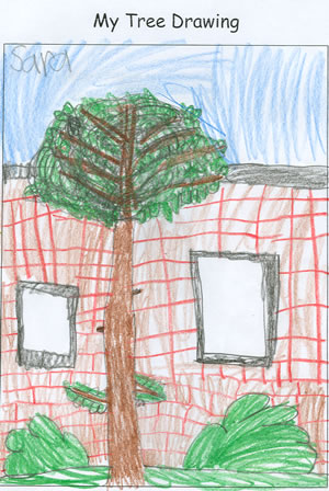 Sara's Tree
