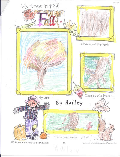 Hailey's Tree