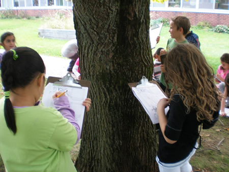 Making Observations