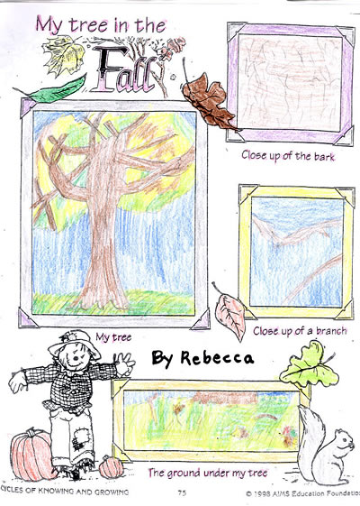 Rebecca